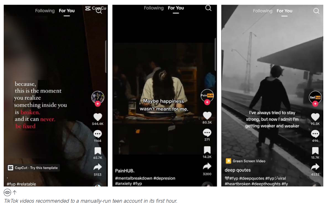 Screeny z badania amnesty international