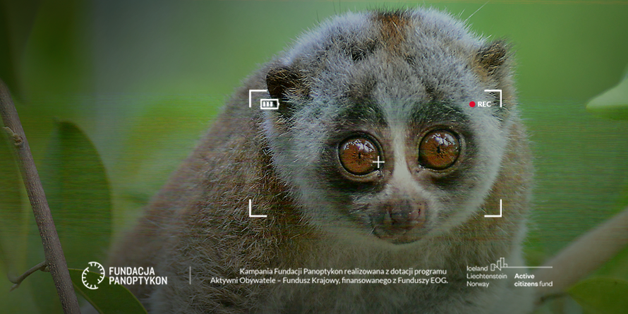 Kampania realizowana z dotacji programu Aktywni Obywatele – Fundusz Krajowy, finansowanego z Funduszy EOG