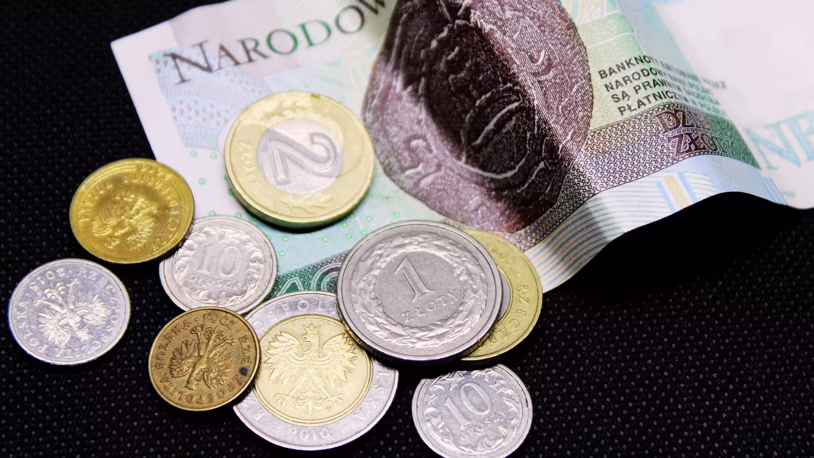 Zdjęcie polskiej gotówki i monet